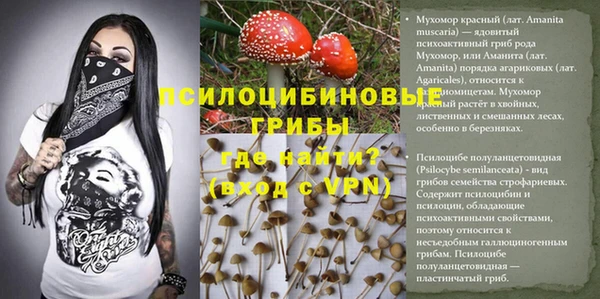 ешки Ельня
