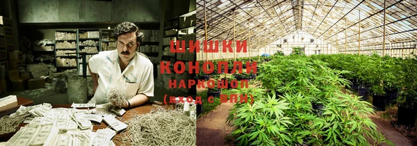 не бодяженный Елабуга