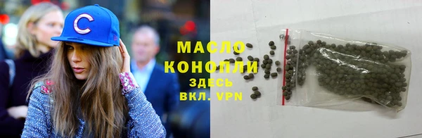 ешки Ельня