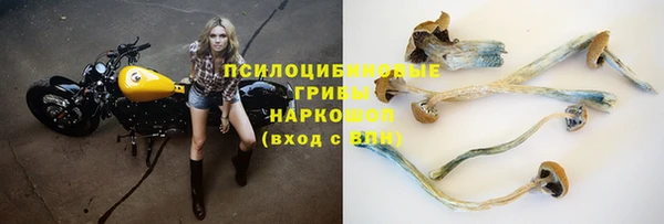 ешки Ельня