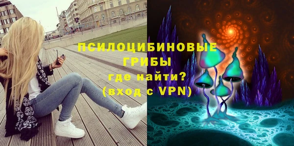 не бодяженный Елабуга