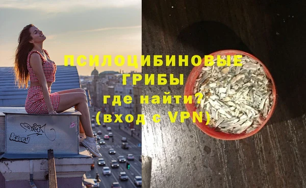 ешки Ельня