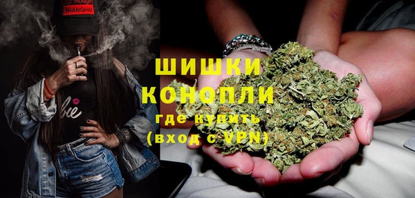 ешки Ельня