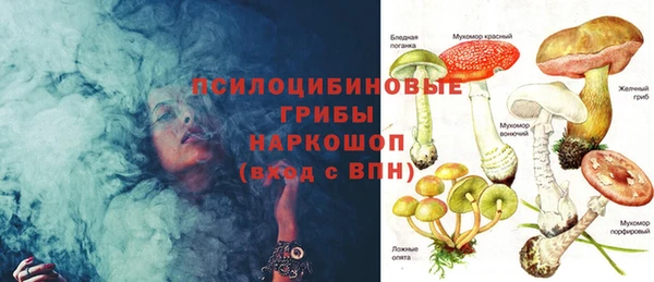 ешки Ельня