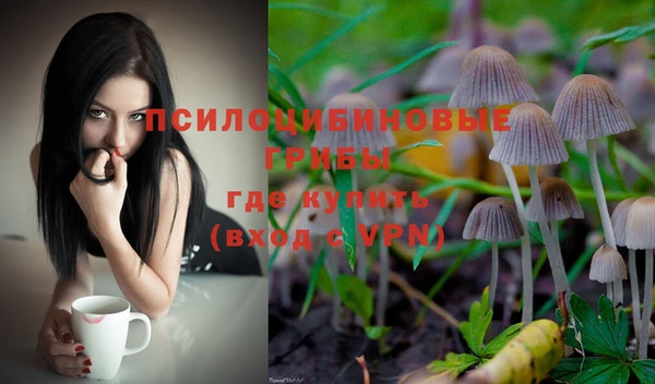 метамфетамин Елизово