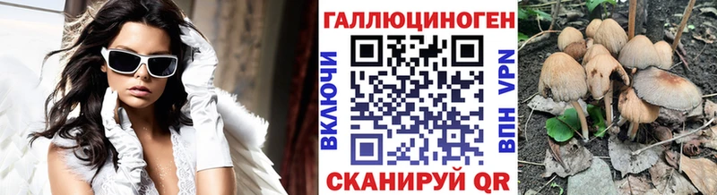 купить закладку  Зубцов  Псилоцибиновые грибы Psilocybe 